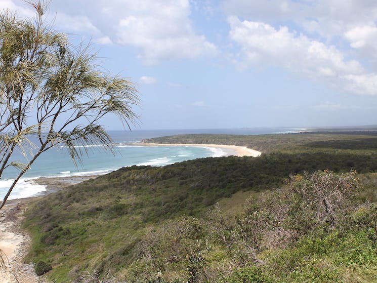 Explore Moruya - Moruya North Head Campground